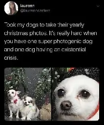 Embed prevented alt text