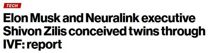 Elon Musk and Neuralink executive Shivon Zilis conceived twins through IVF: report 