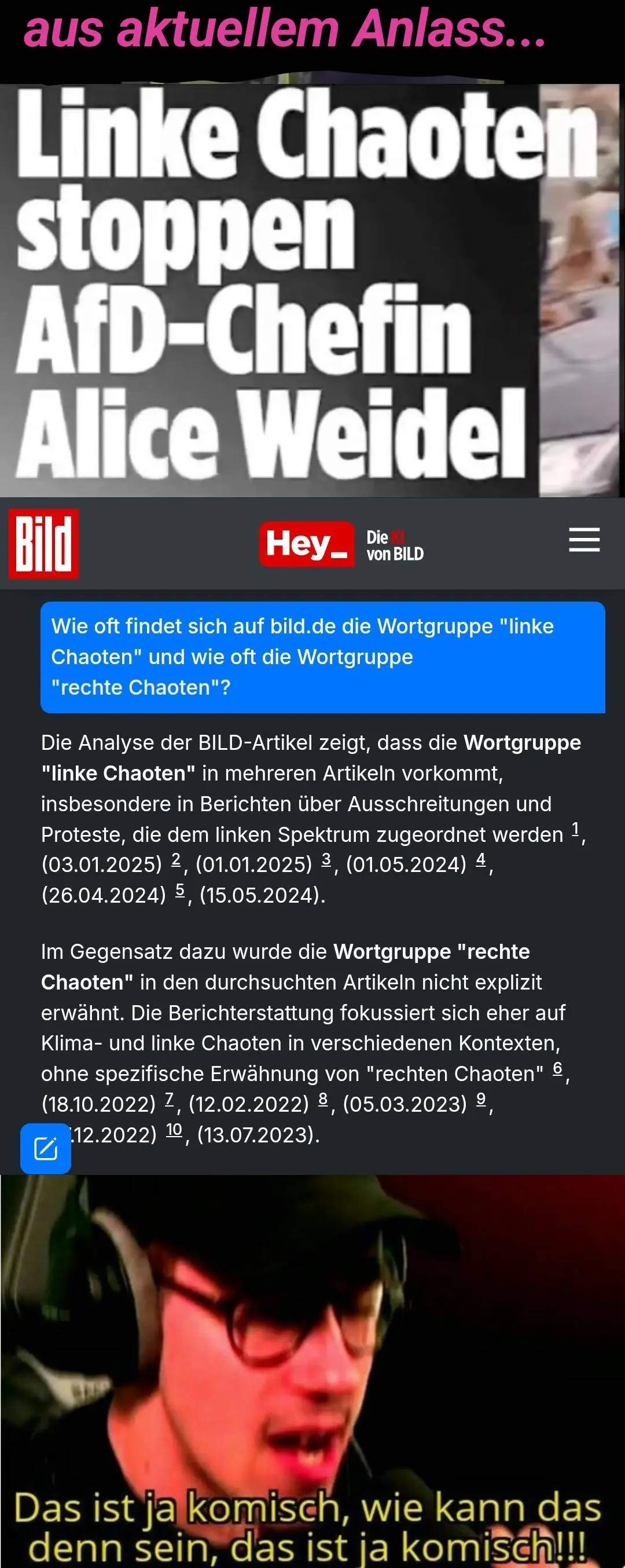 Bild schreibt fern über "linle Chaoten" aber weit weniger gern über "rechte Chaoten"