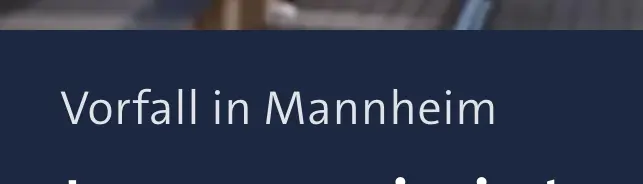 Bildschirmfoto von tagesschau.de mit dem Text "Vorfall in Mannheim"