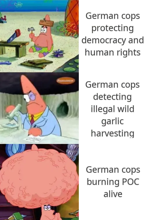 Three panel Patrick meme, very dumb to very smart: Dumb: "German cops protecting democracy and human rights"; Smart: "German cops detecting illegal wild garlic harvesting"; Very Smart: "German cops burning POC alive"