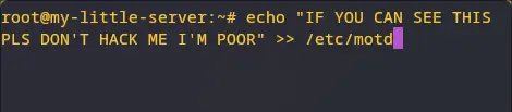 root@my-little-server:~# echo "IF YOU CAN SEE THIS PLS DON'T HACK ME I'M POOR" >> /etc/motd