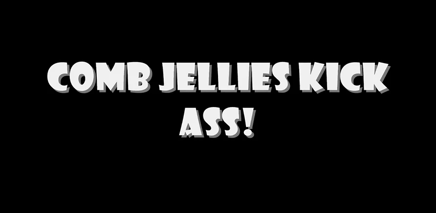 A white text on a black background saying: "Comb jellies kick ass!"