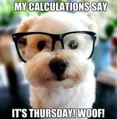 image of a stupid dumb idiot dog wearing glasses. text says "MY CALCULATIONS SAY IT'S THURSDAY! WOOF!