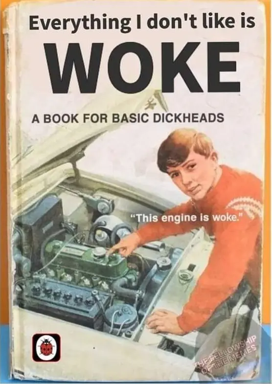 An edited picture of an early reader book. A young man is leaning over the open hood of a car, gesturing with his offhand, facing the viewer. The title of the book has been edited to say "Everything I don't like is WOKE" and the subtitle is "A book for basic dickheads". Text over the young man says "This engine is woke".