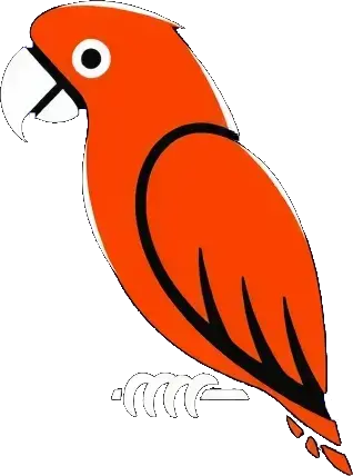 Early Bird: a parrot, orangered colors