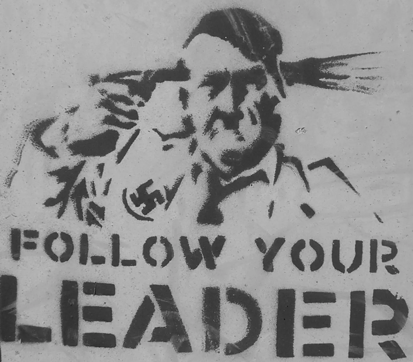 Follow your leader!