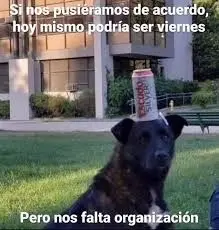Meme de un perro negro sentado con una lata de cerveza en la cabeza. Dice "Si nos pusieramos de acuerdo hoy mismo podría ser viernes. Pero nos falta organización".