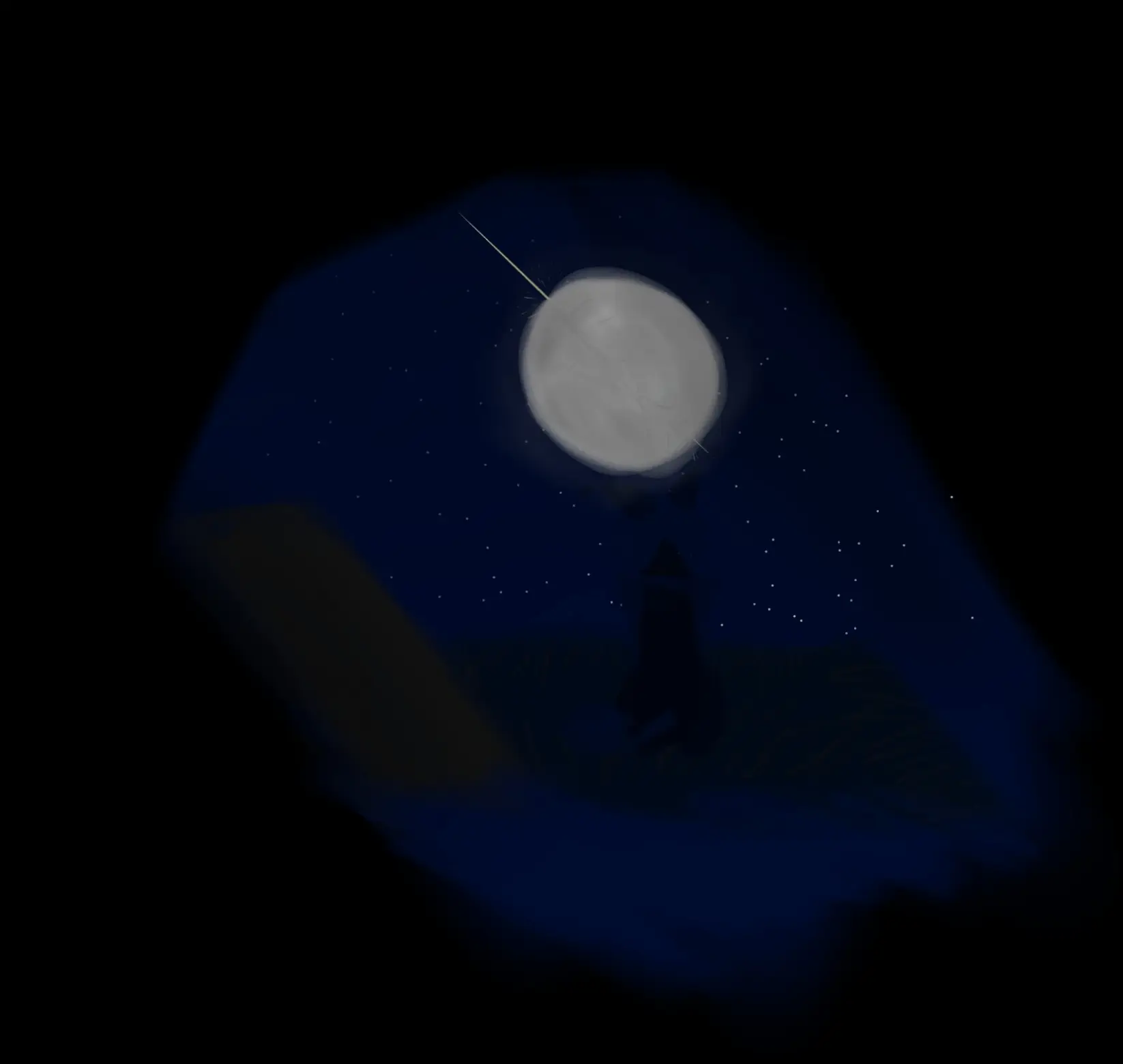 1000013517