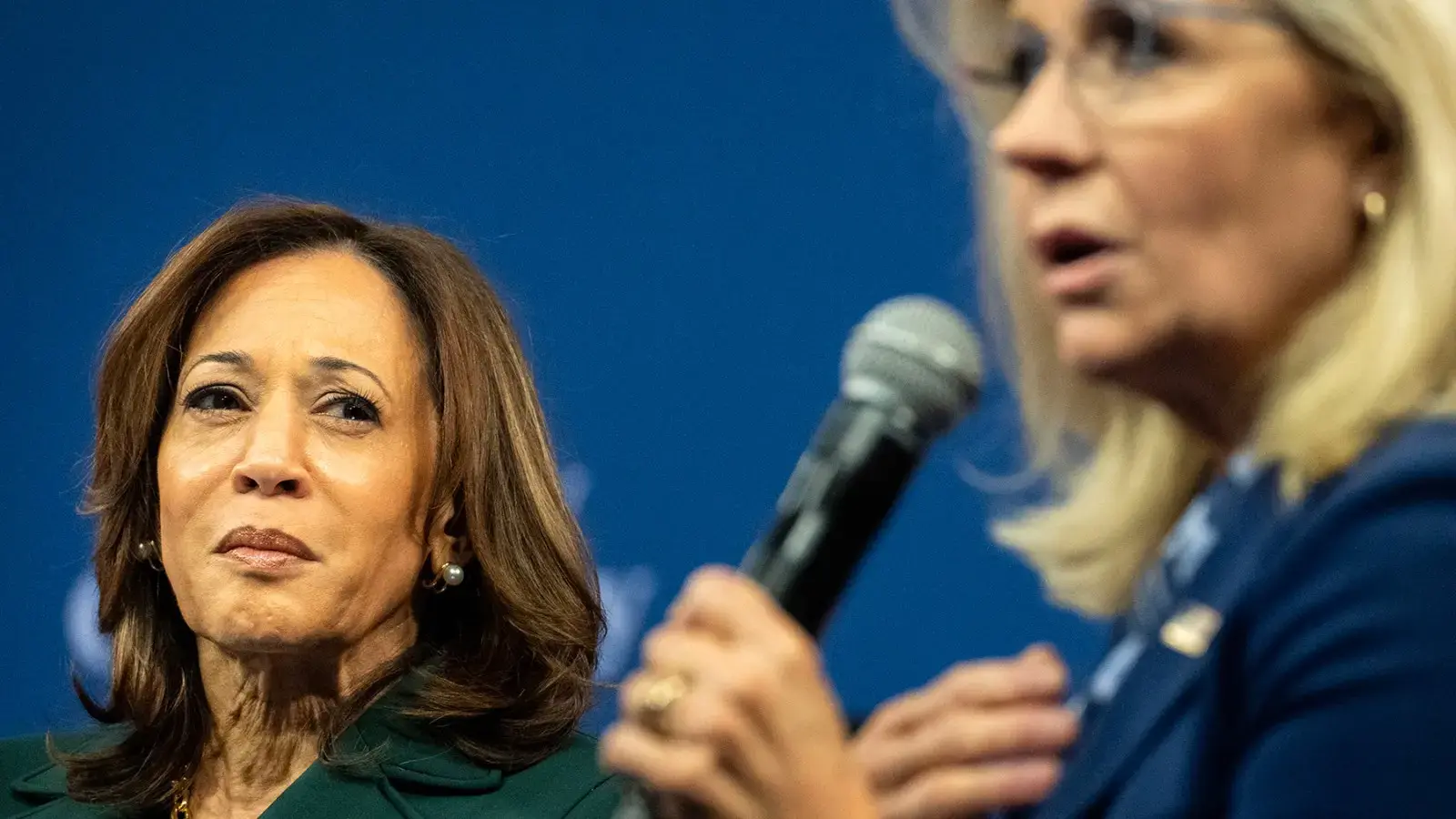 Harris Tried to Win Over Republicans. Dem Support Collapsed Instead