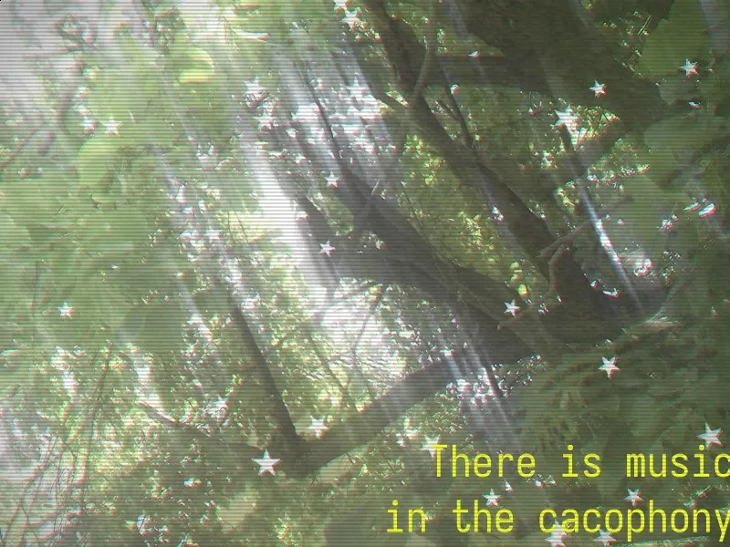 A picture of a tree, with light shining through its leaves. There are star shapes overlaid on the picture, as well as the words "There is music in the cacophony", and the image has a VHS-like effect.