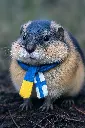 LaFinlandia