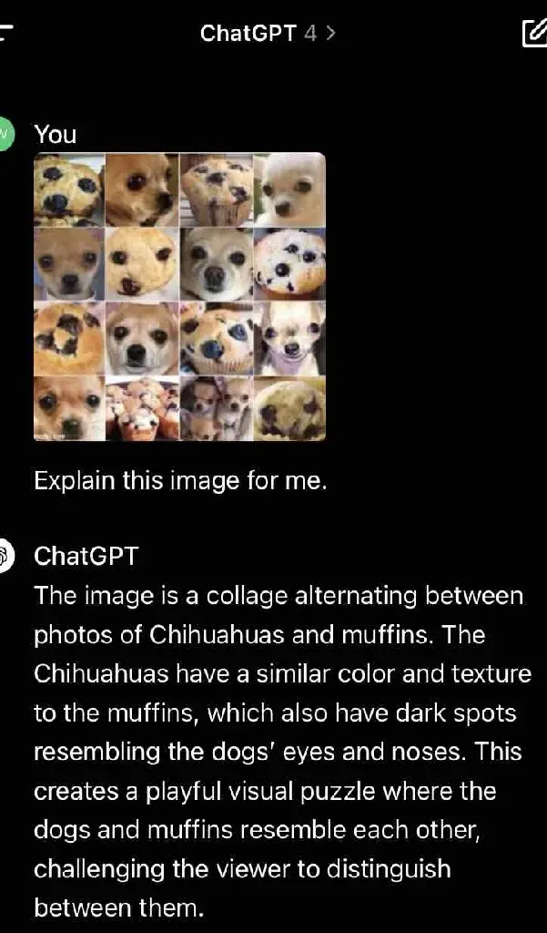gpt