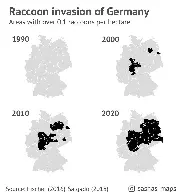 Raccoon invasion of Germany