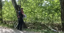 Valkeakoskella 15-vuotias tyttö löytyi kuolleena metsästä läheltä kotiaan – poliisi epäilee henkirikosta