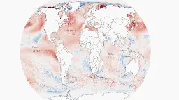 With the world's oceans in the middle of an unprecedented heatwave, scientists are worried