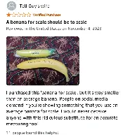 A banana for scale should be to scale