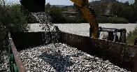 100-Plus Tons of Dead Fish, and Their Smell, Swamp a Greek Port City | The mass deaths of the fish were most likely caused by climate change. The vacation area and businesses have been suffering since
