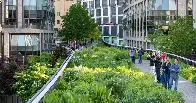 The High Line Opened 15 Years Ago. What Lessons Has It Taught Us? The world-famous New York City gardens offer a master class in how to grow and maintain a naturalistic landscape.