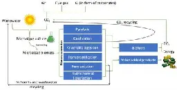 Frontiers | Overview of Carbon Capture Technology: Microalgal Biorefinery Concept and State-of-the-Art