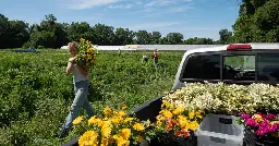 How the Shock of Catastrophic Floods Is Changing Farming in Vermont