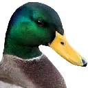 ente