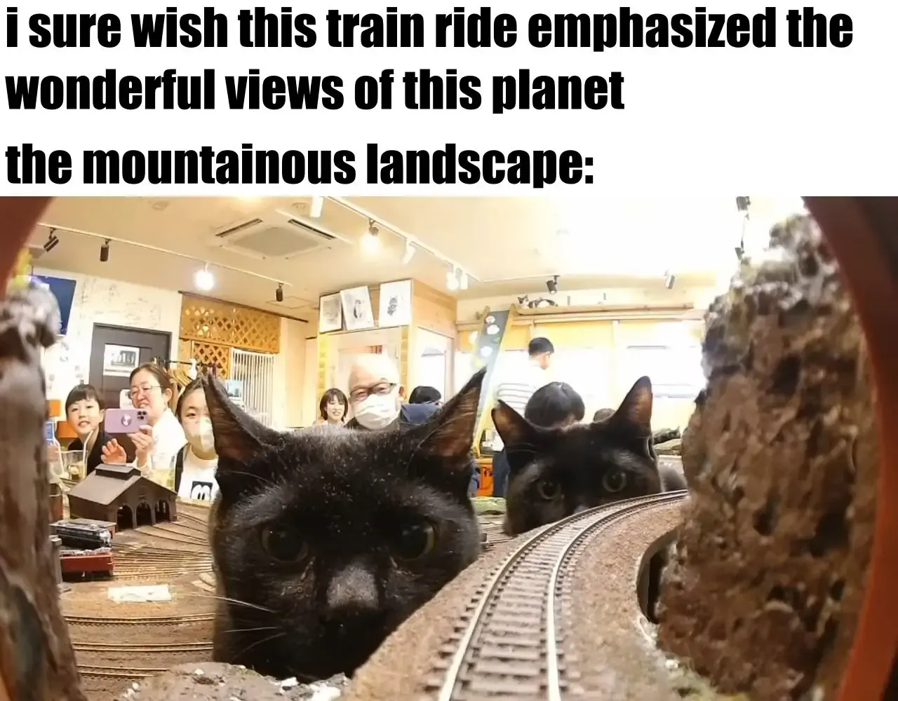 i sure wish this train ride emphasized the  wonderful views of this planet  the mountainous landscape: [a picture of two black cats from a model train's point of view. the cats are looking towards the model train that is on the entrance of a tunnel, before a track that curves to the right]