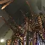 organ