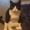 PepperTwist
