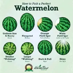 How To Pick A Perfect Watermelon