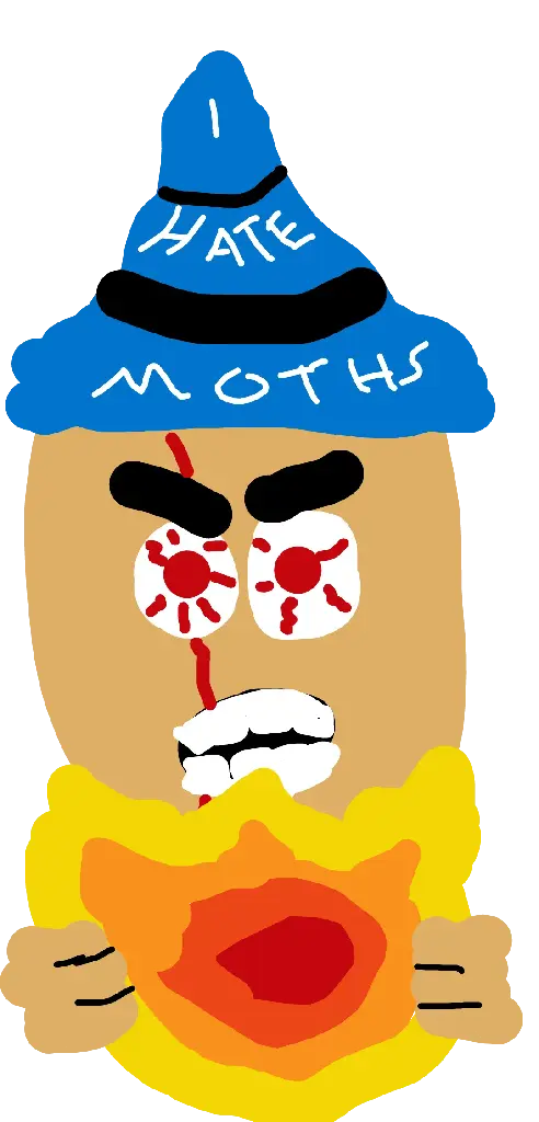 Close-up of an angry wizard holding a fireball. Wizard has bloody eyes and a scar spanning the full height of the face. The wizard&#39;s hat reads: &quot;I hate moths&quot;