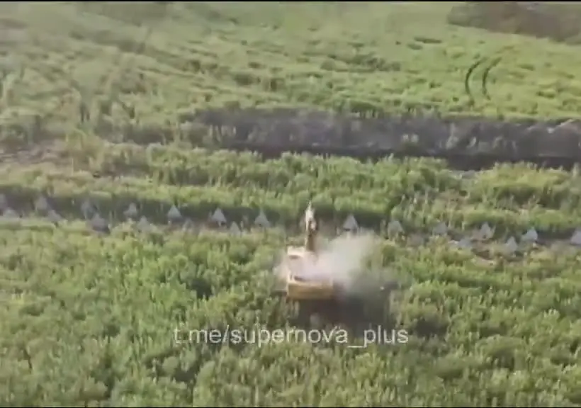 Streamable Video