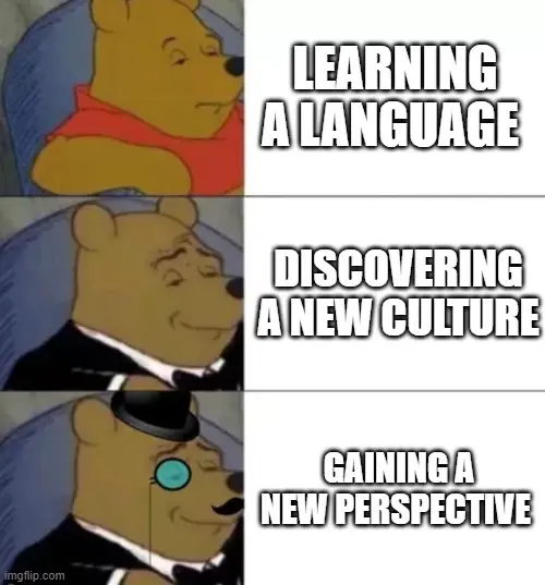 Three levels of Winnie The Pooh meme about learning language, learning about a culture, and gaining new perspective