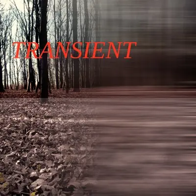 An autumn forest. The right side fades into a linear blur, and the word "TRANSIENT" is overlaid.